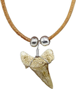 shark tooth necklace