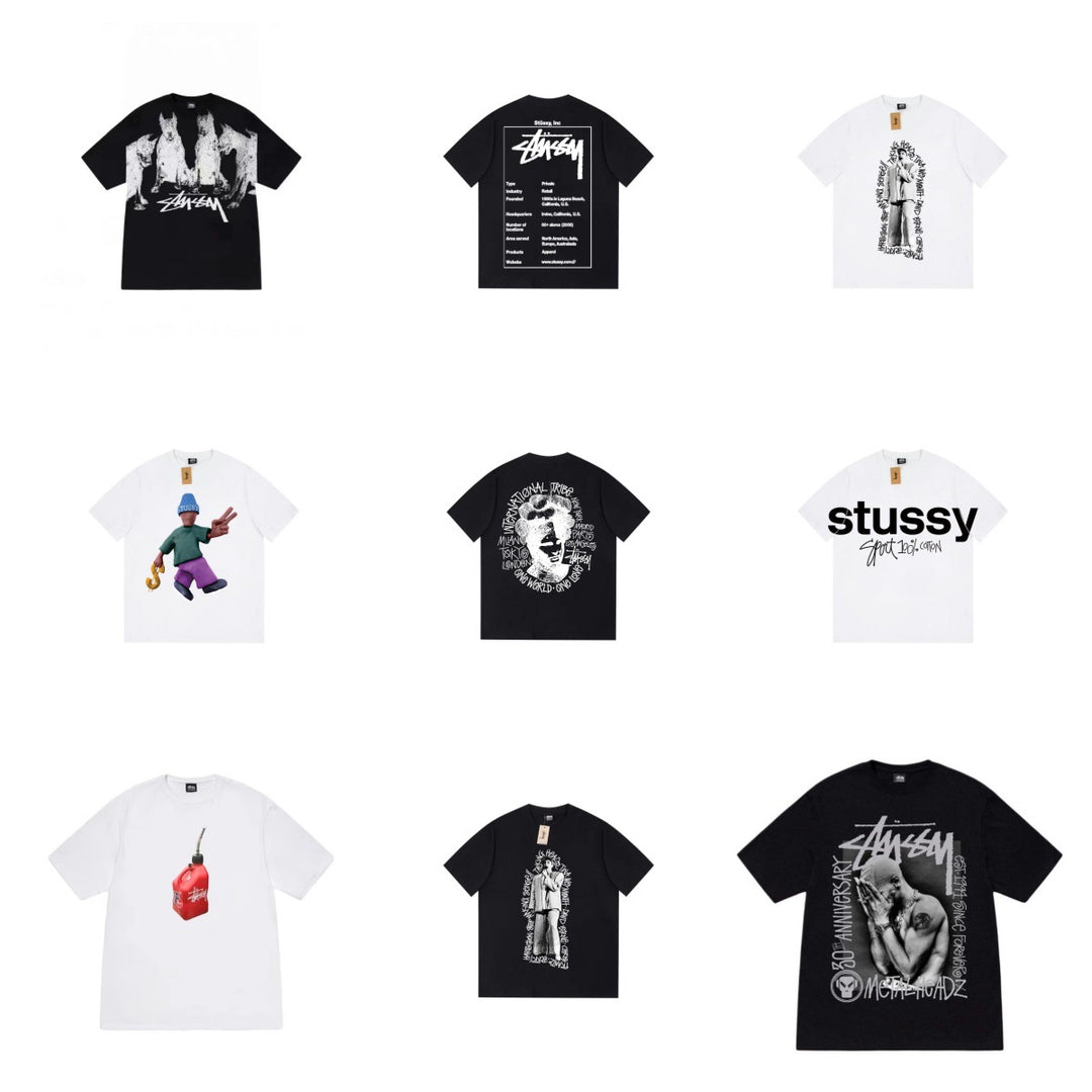 Stussy Classic Basic Loose Fit Short-Sleeve T-Sleeve