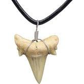 shark tooth necklace