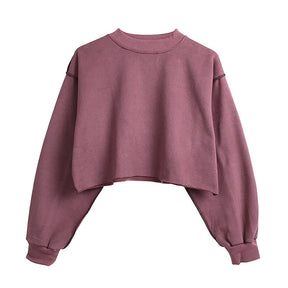 Thick Cotton Women Sweatshirt Hoodie Casual Loose Long Sleeve Streetwear Crop Pullover