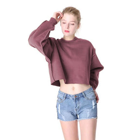 Thick Cotton Women Sweatshirt Hoodie Casual Loose Long Sleeve Streetwear Crop Pullover