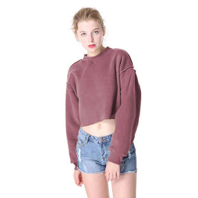 Thick Cotton Women Sweatshirt Hoodie Casual Loose Long Sleeve Streetwear Crop Pullover