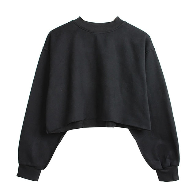 Thick Cotton Women Sweatshirt Hoodie Casual Loose Long Sleeve Streetwear Crop Pullover