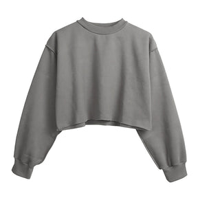 Thick Cotton Women Sweatshirt Hoodie Casual Loose Long Sleeve Streetwear Crop Pullover